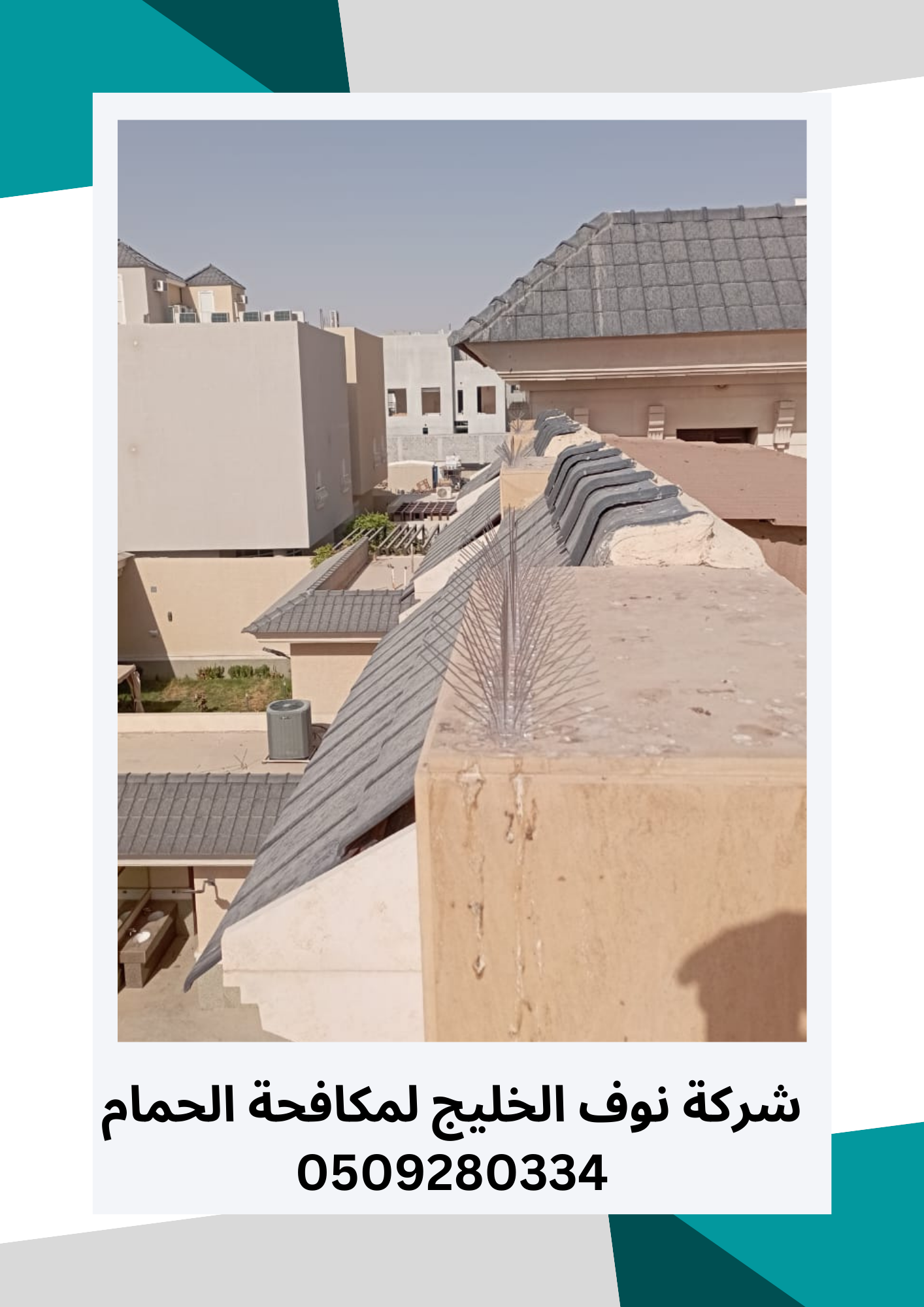 مكافحة حمام بالرياض