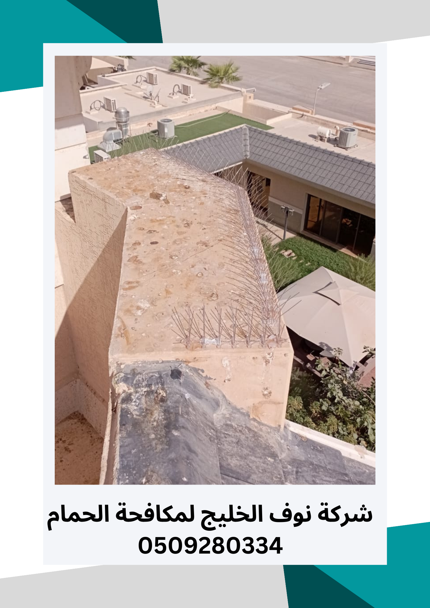 مكافحة حمام بالرياض