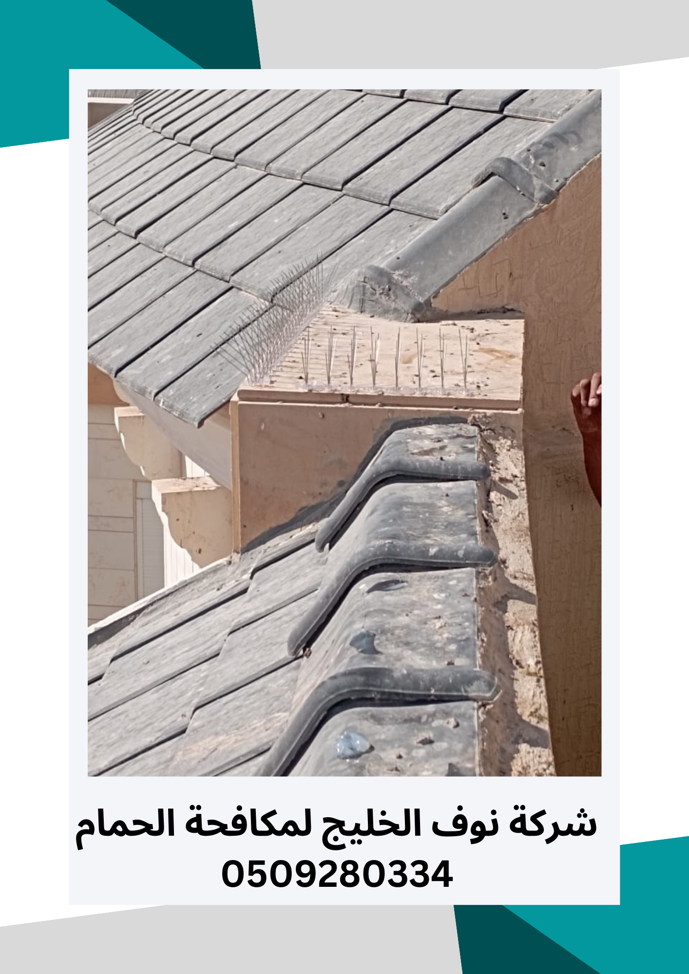 مكافحة حمام بالرياض