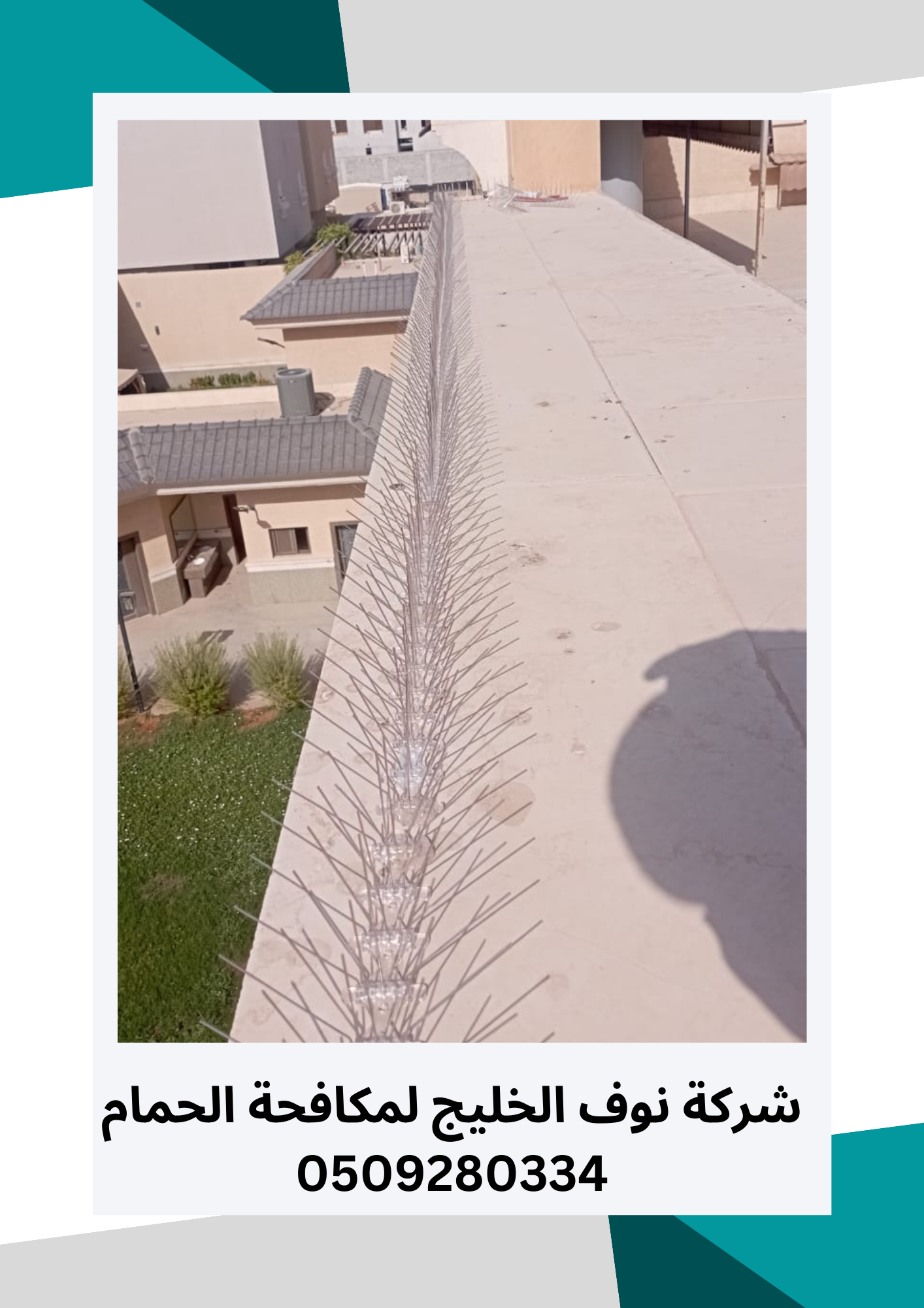 مكافحة حمام بالرياض