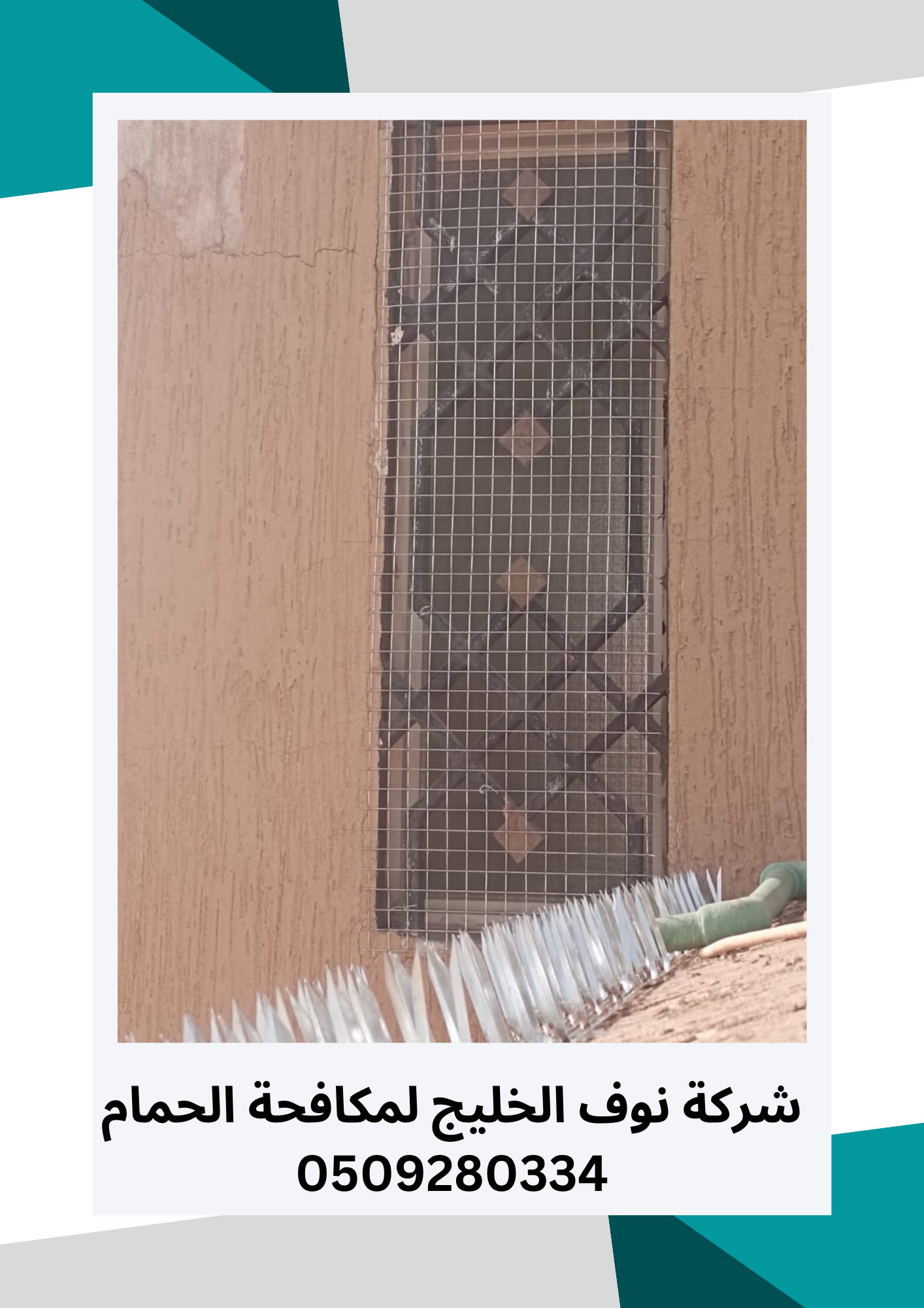 مكافحة حمام بالرياض